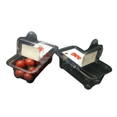 HUISDIER Plastic de Plastic Zichtbare Containersversheid van Clamshell van Verpakkingsdozen