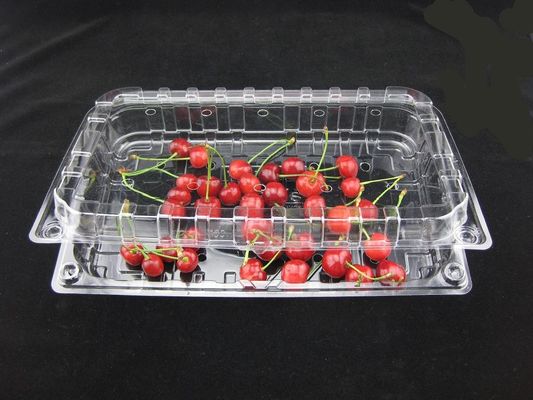 Plastic Verpakkende Dozen 500g van de Eco de Vriendschappelijke Beschikbare Duidelijke Plastic Blaar