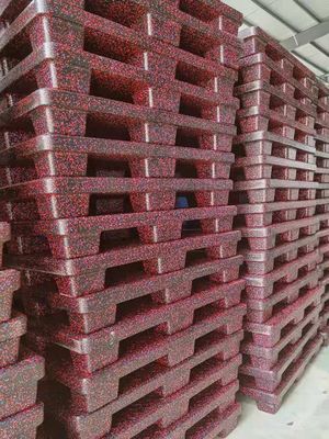 Geëxpandeerde Polypropyleen Stapelbare Kunststof Pallets 1200x1000mm