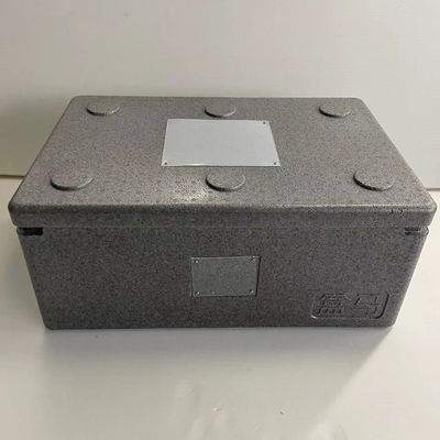Het Schuimdoos van EVP van de Hanwellschok Absorberende Geïsoleerde Lichtgewicht