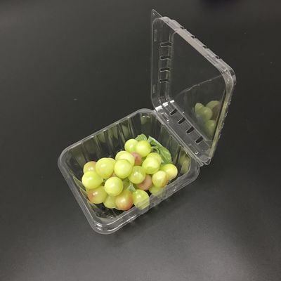 HUISDIER Plastic de Plastic Zichtbare Containersversheid van Clamshell van Verpakkingsdozen