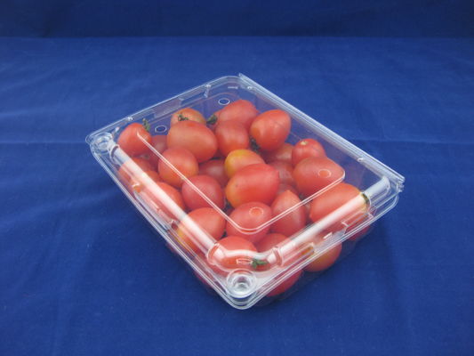 Plastic Verpakkende Dozen 500g van de Eco de Vriendschappelijke Beschikbare Duidelijke Plastic Blaar