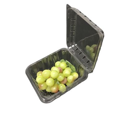 Containers van het HUISDIERENclamshell van aardbei de Plastic Verpakkende Dozen